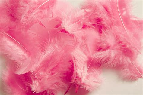 Feather Pink 5 8cm Approx 7g Uk