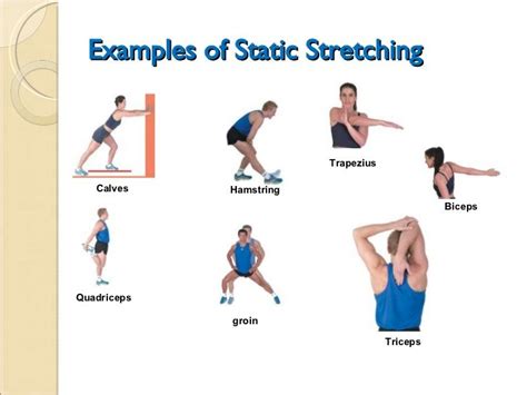 Best 25 Static Stretching Ideas On Pinterest Stretch Routine