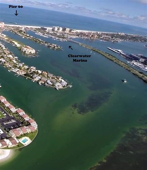 Aerial Showing Clearwater Marina And Harbor Dolphin Tours Clearwater