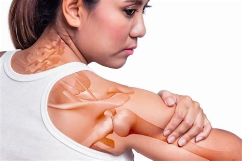 Causes Symptoms And Treatment Of Shoulder Pain