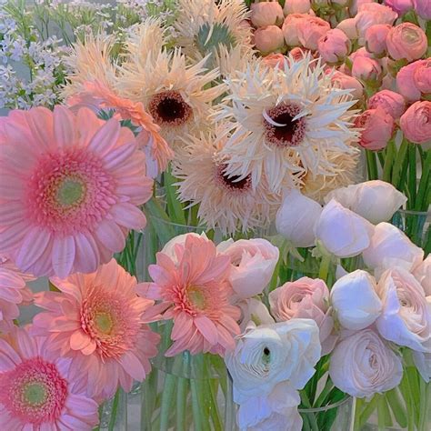 𝓁𝒾𝓁𝓎 Flower aesthetic Pretty flowers Beautiful flowers