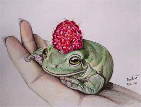 A Frog Wearing A Raspberry Me Pencils 2020 Frog Art Frog Crayon Art