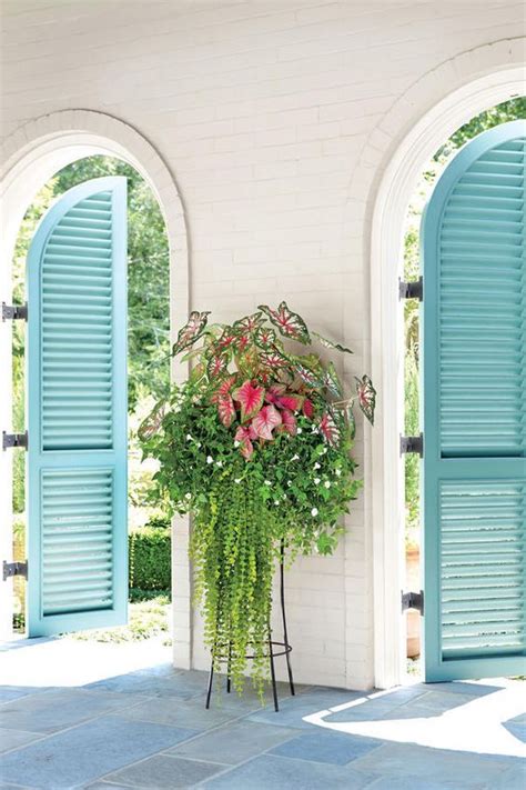 12 Beautiful Container Gardening Ideas For Shade