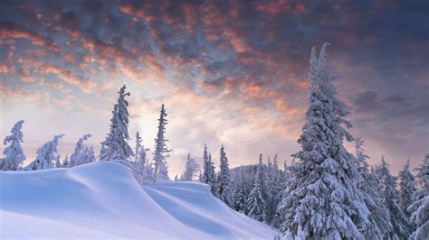 Outstanding Winter Scene Wallpaper