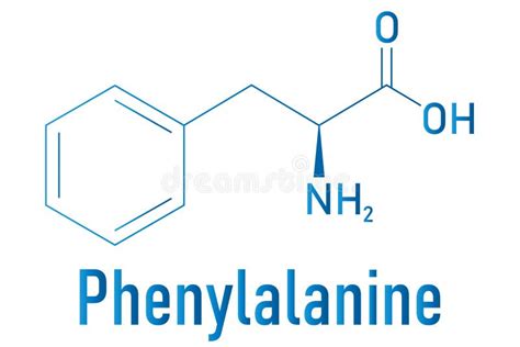 Fenilalanina O Lfenilalanina Phe F Molécula De Aminoácidos Fórmula