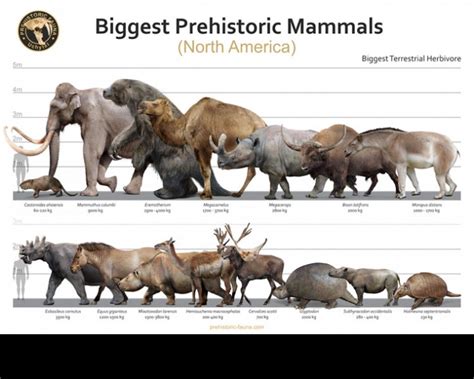 Biggest Prehistoric Mammals Of Na Herbivore Poster