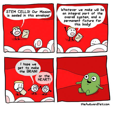Stem Cells Cordbloodvsstemcells Awkward Yeti Really Funny Memes