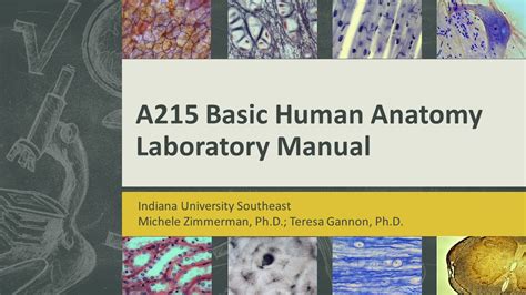 A215 Basic Human Anatomy Laboratory Manual Simple Book Publishing