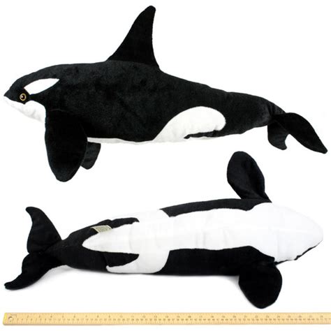 Octavius The Orca Blackfish Over 2 12 Foot Long Big Killer Whale