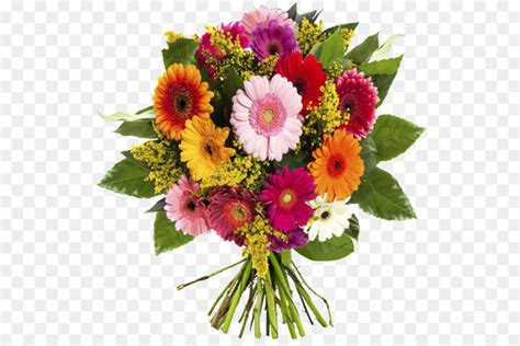 Laden sie ihre datei hoch und wandeln sie sie um. Blume, Blumenstrauß, Chrysantheme Transvaal daisy ...