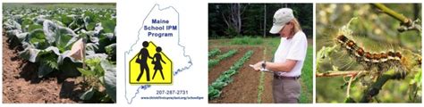 Integrated Pest Management Program Maine Dacf