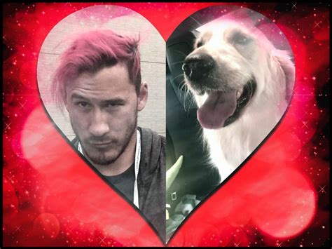 Pin By Snowbell Moxley On Youtubers Markiplier Youtubers Lol
