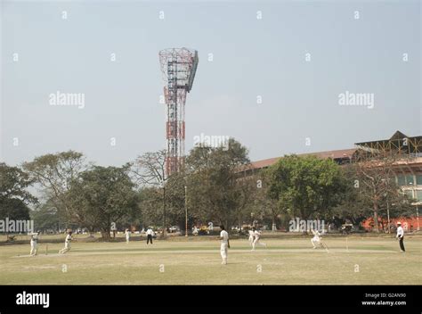 Cricket Playing In Maidan Area Near Eden Gardens Stadium Kolkata