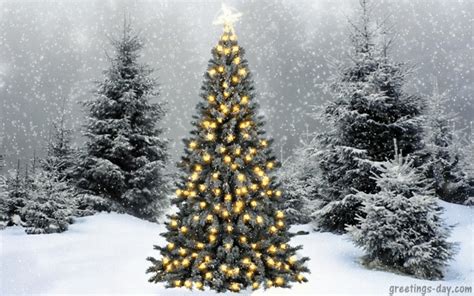 Christmas Tree Animation Freeze IUCN Water