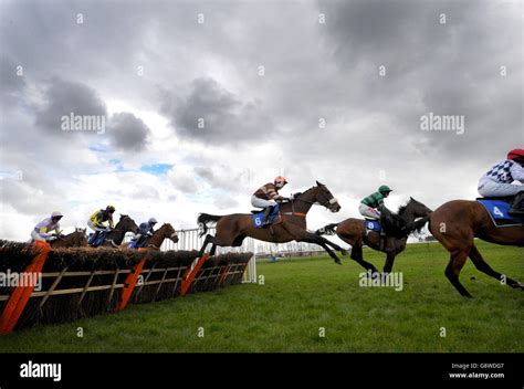 Ayr Races Coral Scottish Grand National Ladies Day Stock Photo Alamy