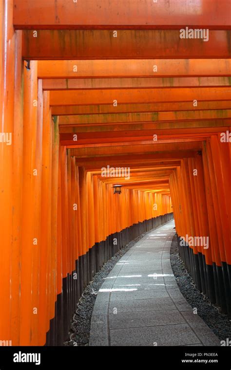 Path Between Red Torii Gates With Lantern Fushimi Inari Shrine Kyoto