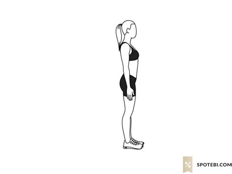 Rolling Squat Illustrated Exercise Guide