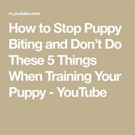 How To Stop Puppy Biting And Dont Do These 5 Things When Training Your