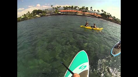 Kona Hawaii Stand Up Paddle Board Adventure Youtube