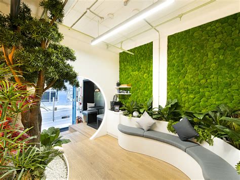 Why You Should Work In A Green Office Oktra
