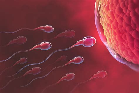 what is semen analysis and why is it done health afternoon