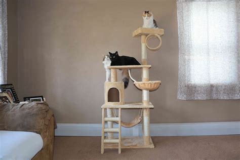 Go Pet Club Cat Tree Review Affordable And Cat Approved