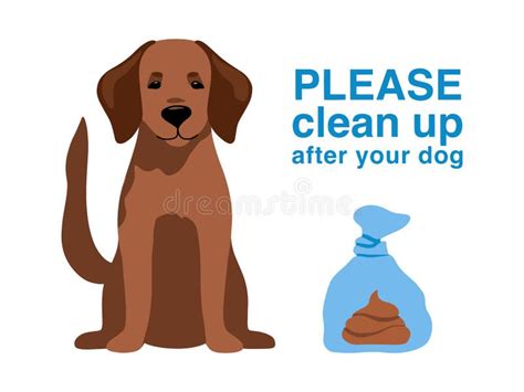 How To Clean Up Dog Poop Without Plastic