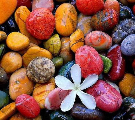 Zen Stones Rocks Pretty Colorful Zen Charm Plumeria Bonito