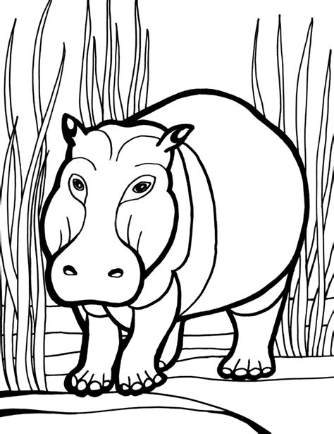 Hippopotamus Coloring Pages Coloring Home