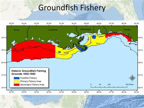 Ppt Changes In Abundance Of Groundfish Species In The Northern Gulf