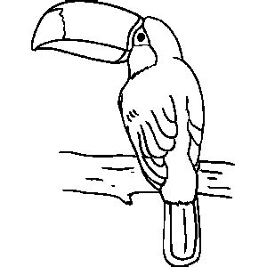 With its distinctive appearance, disproportionately large beak, and brightly colored feathers, toucans live primarily in the amazon rainforests of south america, but with the. Toucan Coloring Sheet - ClipArt Best - ClipArt Best
