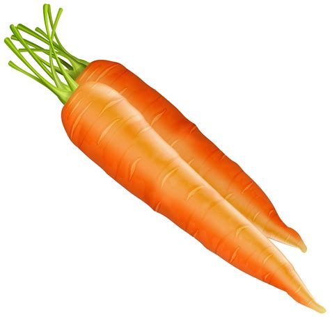 Carrots Png Clipart Best Web Clipart