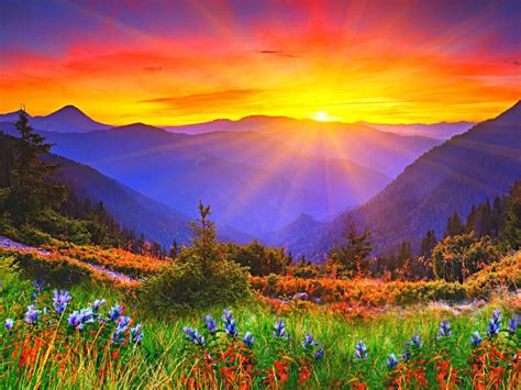 Sunrise, dawn, mountains, grass, flowers wallpaper | nature and landscape | Wallpaper Better