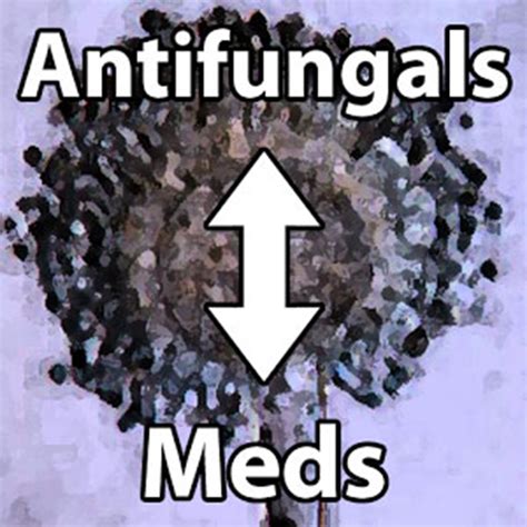 Antifungal Interactions Cd