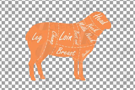 We'll track players' scores to their emails, names or another identifier of your choice. utcher lamb meat cut diagram clip art. Digital sheep chart ...
