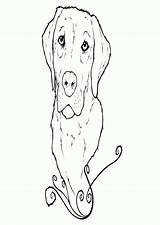 Coloring Pages Puppy Birthday Labrador Dog Lab Yellow Popular Getdrawings Drawing Coloringhome sketch template