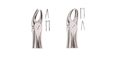 Difference Between Right And Left Upper Forceps Molar Youtube