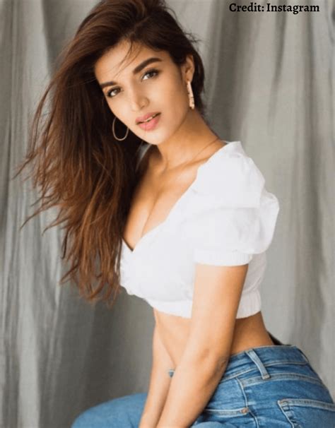 Nidhhi Agerwal Hot And Sexy Photos Top Bold And Bikini Pics Of Nidhi