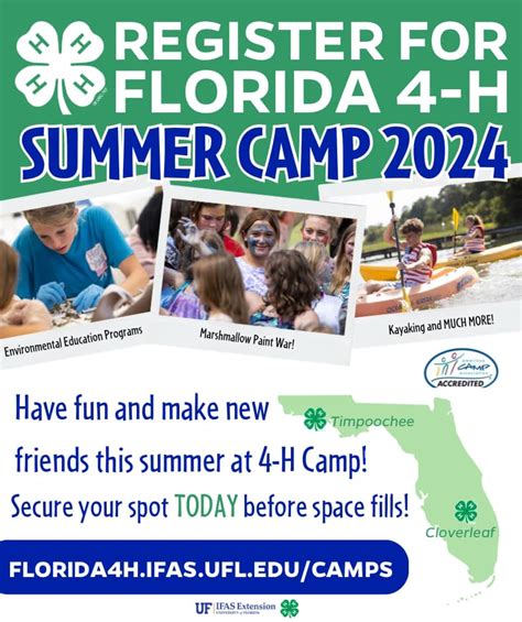 Summer Sunshine 🌞 Florida 4 H Youth Development Program