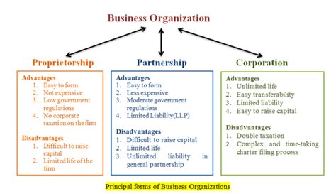 Different Forms Of Business Organizations And Their Advantages And