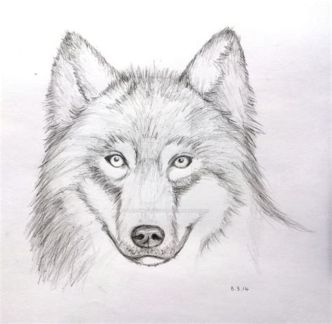 You can find wolf drawing ideas for that here. 25+ beautiful Wolf face drawing ideas on Pinterest | Wolf ...
