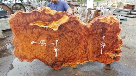 What Is Burl Wood Explaining Burl Wood Redwood Burl Inc