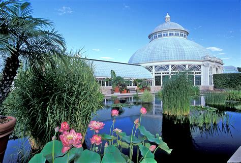 Five rare plants to look for at the botanical garden. New York Botanical Garden - The Orchid Show: Thailand ...