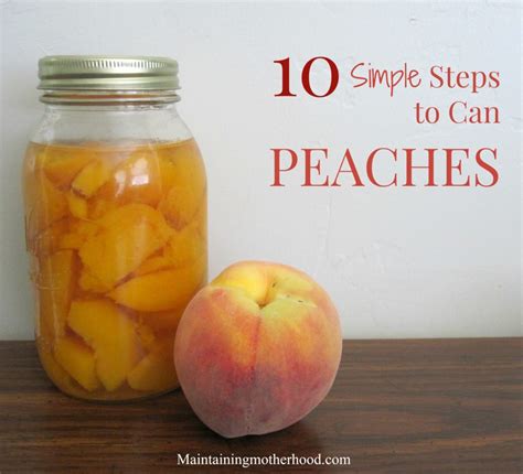 How To Can Peaches In 10 Simple Steps Maintaining Motherhood