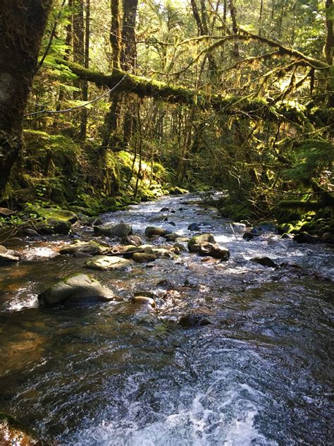 Oregon Roseburg Umpqua River Susan Creek Falls Creek Rocks Iphone