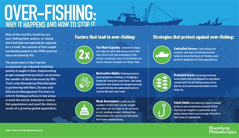 Over Fishing Why It Happens And How To Stop It Bloomberg Philanthropies