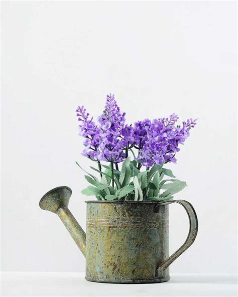 20cm Pterostoechas Lavender Silk Flower In Metal Watering Can Silk