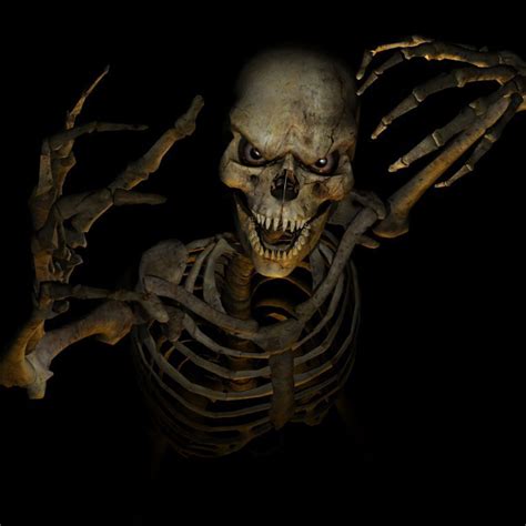 Below are the largest pc resolution (3840 x 2160) and the most common smartphone size (1080 x 1920), for the other resolutions head to the official website. Cool Skulls 1080X1080 - Hoyhoy Images Gallery