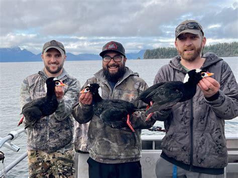 Alaska Sea Duck Hunts Boat Based Sea Duck Hunting Guides