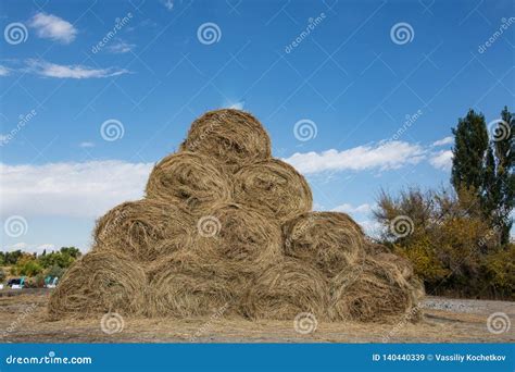 Dry Baled Hay Bales Stack Rural Countryside Straw Background Hay